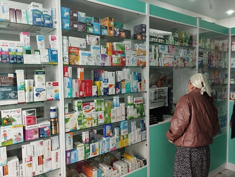 Партдесант «Единой России» в Малгобекском районе провел мониторинг цен на жизненно необходимые лекарства в Зязиков-Юрте.